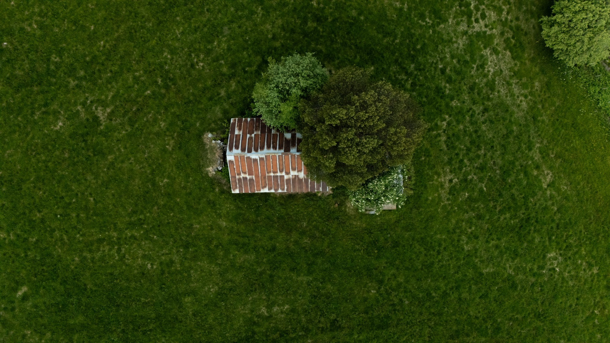 Natur